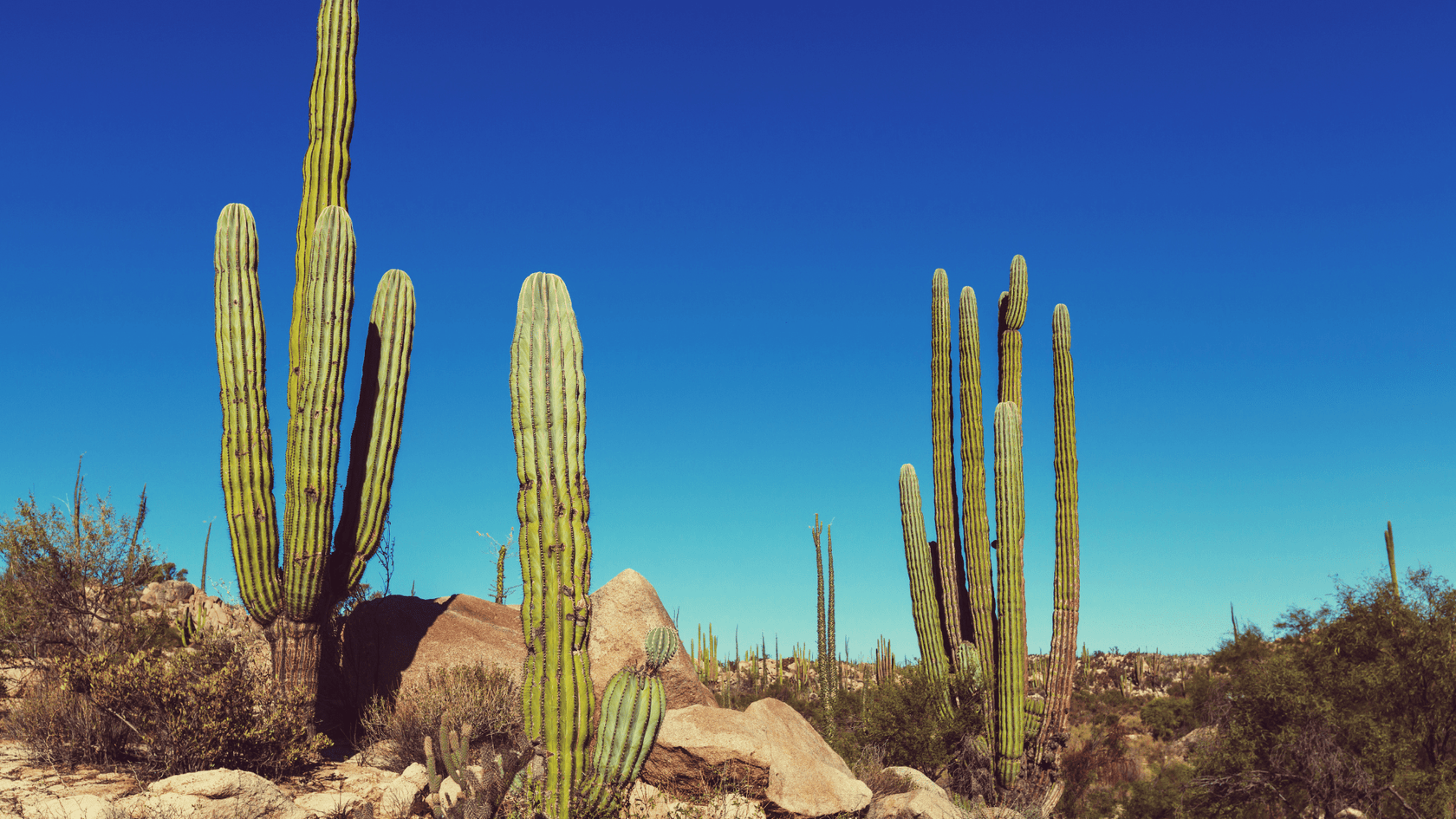 How to travel more sustainably in Mexico - Water to Go