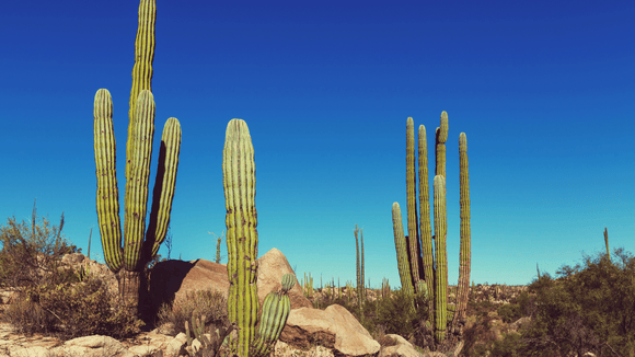 How to travel more sustainably in Mexico - Water to Go