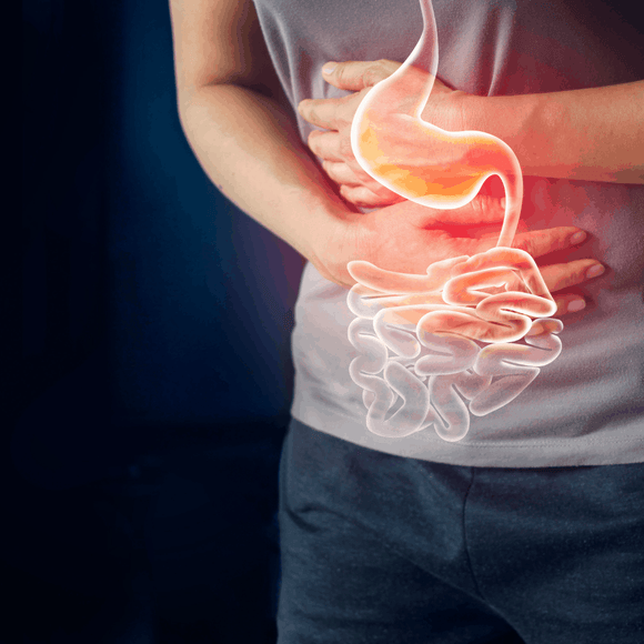 What is Cryptosporidium? Causes, symptoms treatment, and how a water purifier filter bottle can protect you. - Water to Go