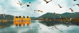 birds flying over the lake during daytime in Jal Mahal, Jaipur, India