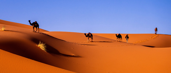 early morning, Sahara, Merzouga, Morocco