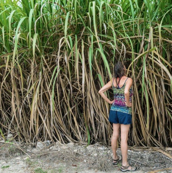 Water-to-Go launches bioplastic bottle made of sugarcane - Bonsucro